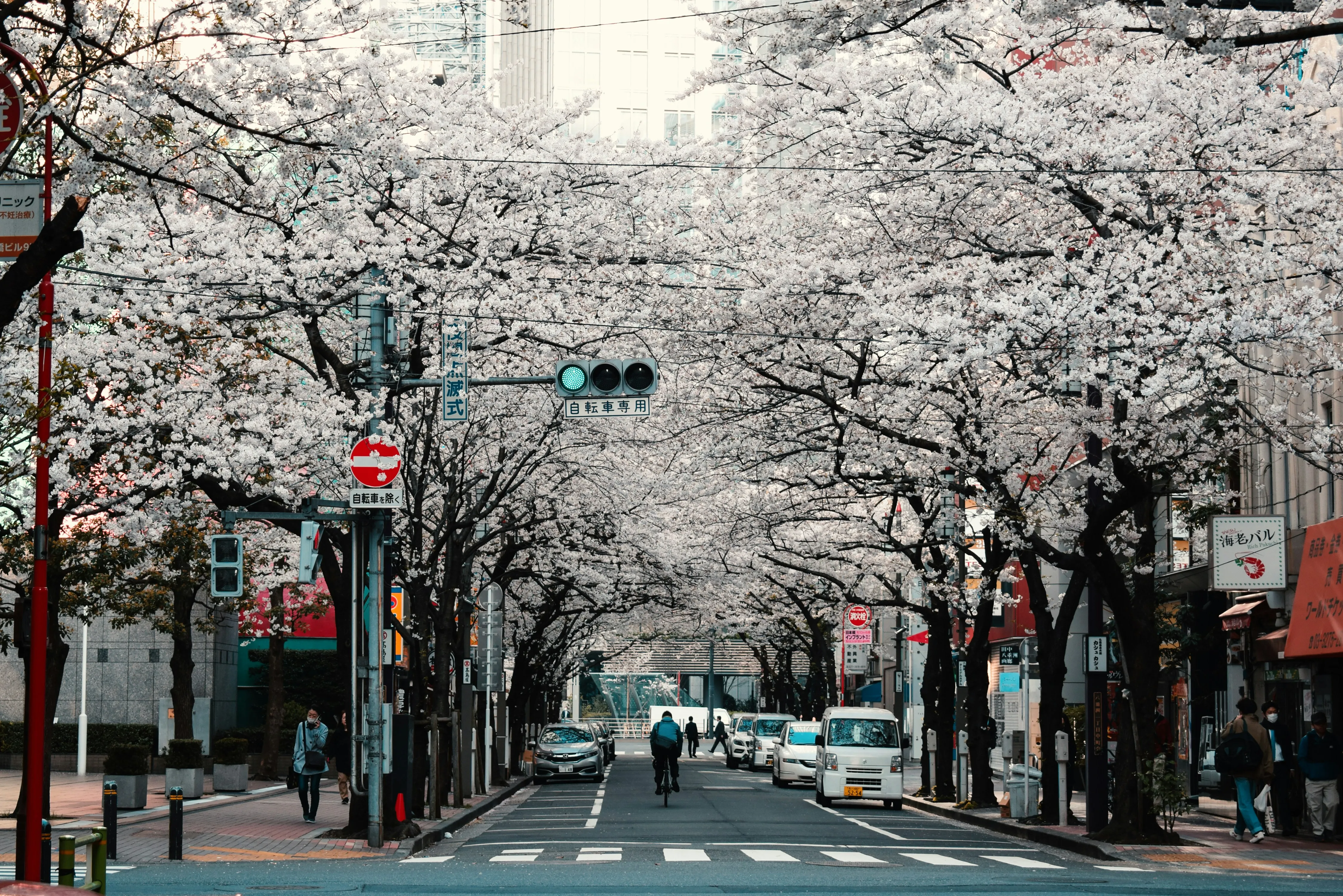 First-Timer's Kyoto Travel Guide: The Ultimate 4-Day Itinerary (2026)